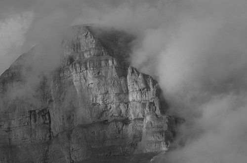 In the Mist