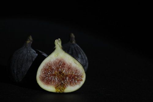 Fig