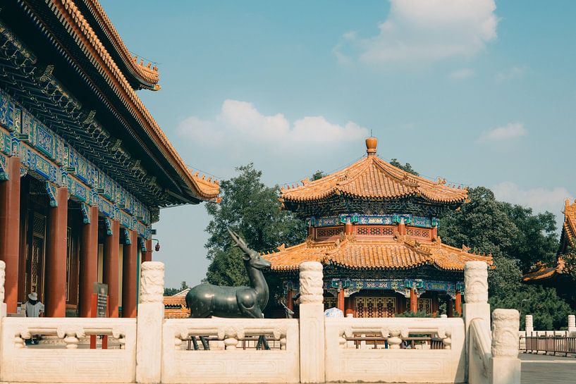 Beijing by Hello Pompoyo