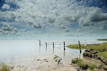 Ameland dans toute sa splendeur sur Rinnie Wijnstra