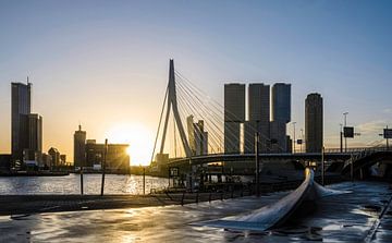 Rotterdam erwacht | Sonnenaufgang an der Erasmusbrücke von Ricardo Bouman Fotografie