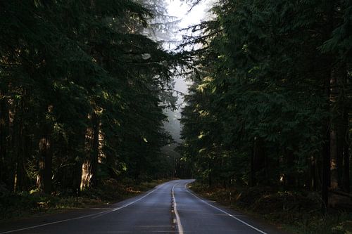 Vroege morgen in Washington State