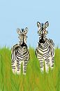 Zebras van Andrea Meyer thumbnail