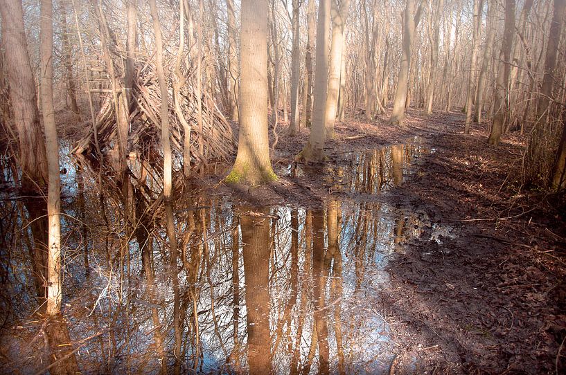 La cabine inondée dans les bois. par Sonja Pixels