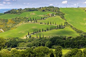 Zickzackkurs im Val d'Orcia, Toskana, Italien