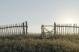 Vieille clôture en bois ouverte sur Besa Art