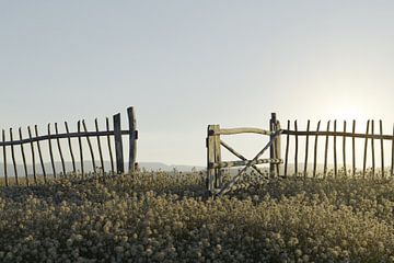 Open staand oud houten hek van Besa Art