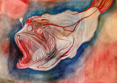 Sea monster.Fearful being in the sea.