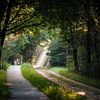 Welk pad zou je kiezen? van MdeJong Fotografie