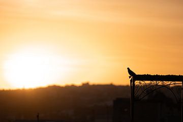 Le Maroc se réveille sur Marika Huisman fotografie