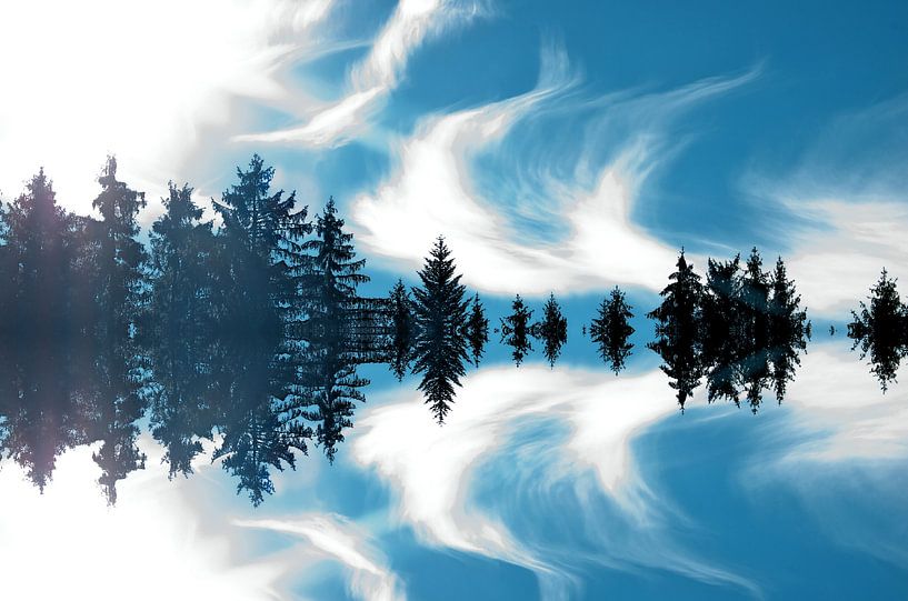 Spiegelbeeld van Daniel Dorst
