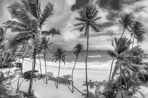 Strand met palmbomen op Barbados in het Caribisch gebied. Zwart-wit beeld
