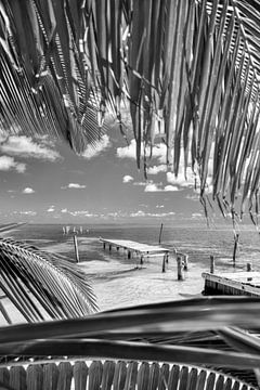 Caribische zomer in zwart-wit van Manfred Voss, Zwart-Wit Fotografie