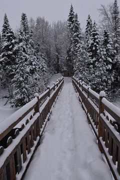 Een loopbrug naar het park in de winter van Claude Laprise