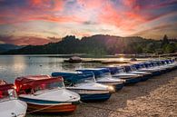 Sunset at Titisee in the Black Forest by Animaflora PicsStock thumbnail