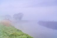 ijzige ochtend met mist die opstijgt langs een rivier van Marcel Derweduwen thumbnail