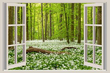 Uitzicht door het raam op het lentebos van Thomas Herzog