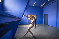 Vrouwelijk artistiek naakt in de blauwe kamer von Ger Beekes Miniaturansicht