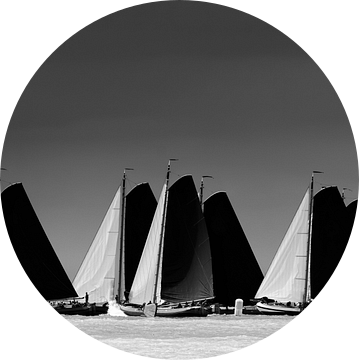 Skûtsje wedstrijd veld.