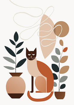 Nature morte avec chat (01), Boho, Rétro