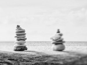 Deux d'une sorte en noir et blanc