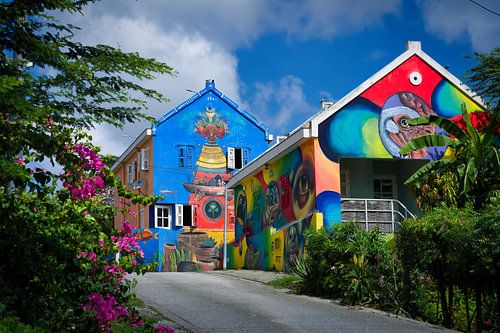 Curacao colourfull housing and flora