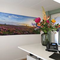 Photo de nos clients: Plantes de bruyère en fleurs dans le paysage des landes pendant le panorama du lever du soleil par Sjoerd van der Wal Photographie, sur toile