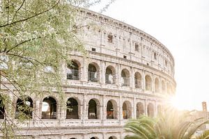 Sunset at the Colosseum Italy