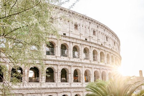 Zonsondergang bij het Colosseum, Rome - Italië