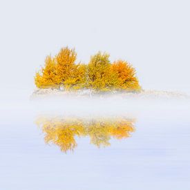 Herfst in Noorwegen van Chris Stenger