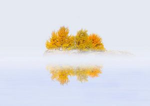 Herbst in Norwegen