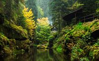 La magie des gorges d'Edmund dans la lumière d'automne