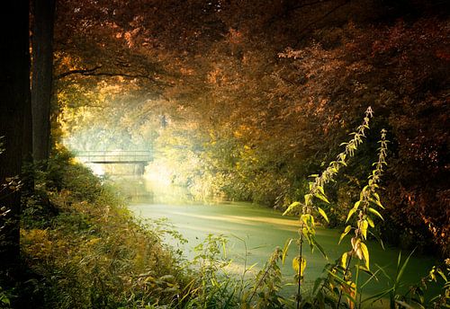 Bridge Over Troubled Water