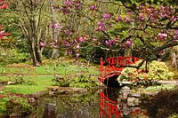Rote Brücke im Japanischen Garten