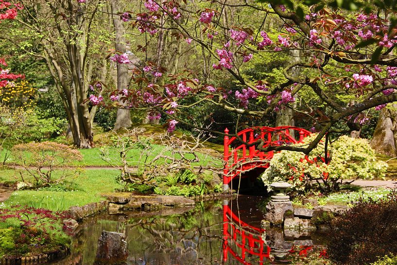 Rote Brücke im Japanischen Garten von Wilma Overwijn