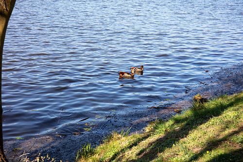 Impressies van het Baldeney-meer in Essen, Duitsland
