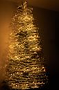 abstract Christmas by Tania Perneel thumbnail