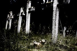 Lost by Photography by Karim