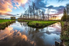 paysage