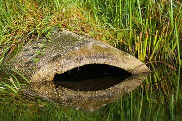 concrete becomes nature by Stobbe; stiltegrafie