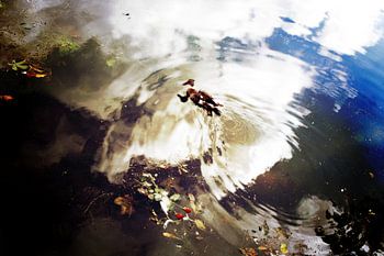 Een Hofvijver sprookje