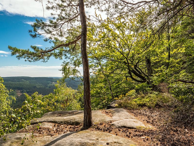 Katzstein, Sächsische Schweiz - Nahe Mäusebornweg von Pixelwerk