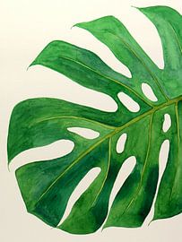 Philodendron monstera leaf no 2 of 3 (aquarelle fleurs vertes plantes d'intérieur nature jungle) sur Natalie Bruns