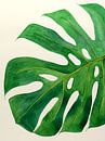 Philodendron Monstera Blatt Nr. 2 von Natalie Bruns Miniaturansicht