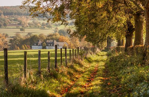 South Limburg in autumn colours 