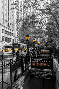 42 th Street en Braynt Park Metrostation van Kurt Krause