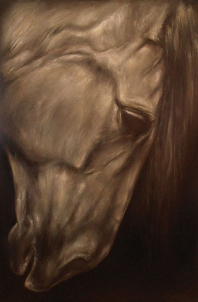 Soulhorse by Paula Collewijn