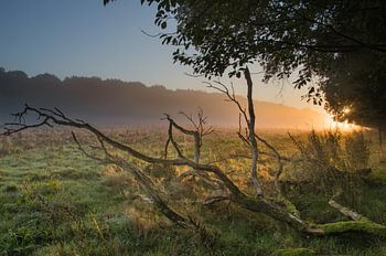 Schöner Sonnenaufgang