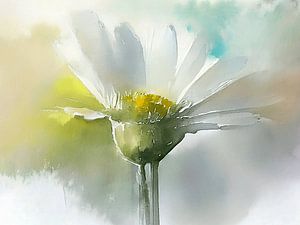Aquarell eines weißen Gänseblümchens.