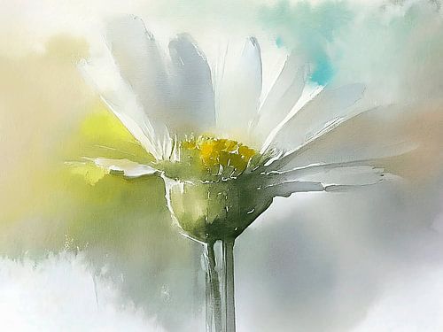 Aquarel schilderij van een Witte Margriet.